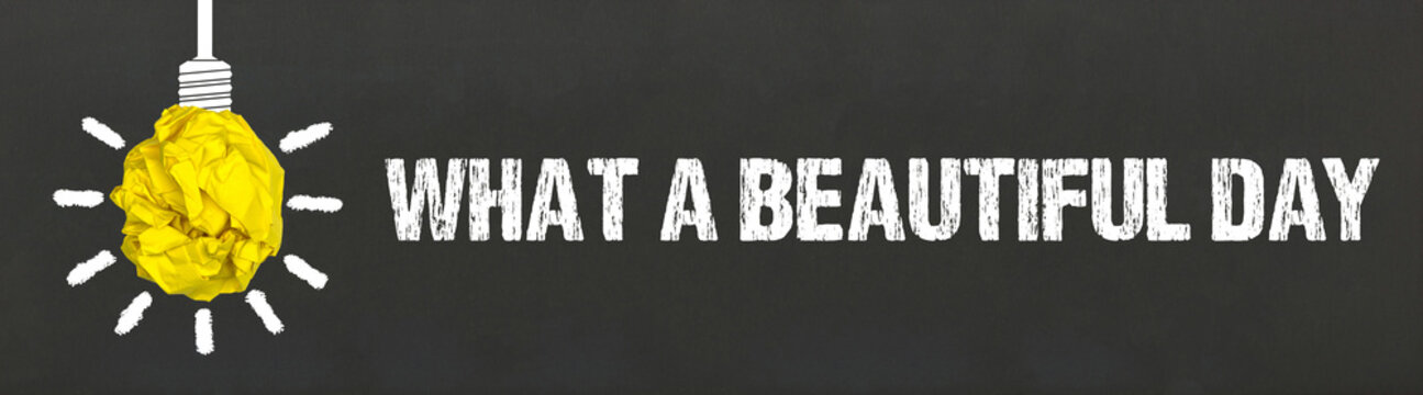 What a beautiful day	
