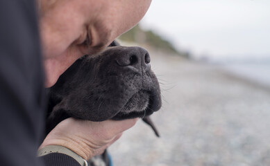 A man hugs a sad, black, long-eared dog on the beach by the sea on an autumn day, close-up, soft focus. Homeless street animals and people.