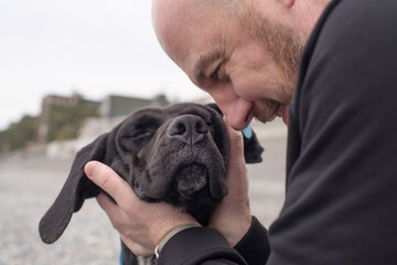 A man hugs a sad, black, long-eared dog on the beach by the sea on an autumn day, close-up, soft focus. Homeless street animals and people.