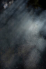 Smoke in the forest. Smoke in the sunlight. The texture of the fog.