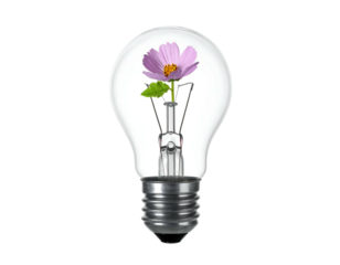 A light bulb encompasses a blooming pink flower and green leaves, symbolizing growth and illumination