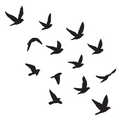 Dramatic flock of birds soaring in silhouette against the sky, evoking freedom and peace, perfect for nature, travel, or spiritual themes