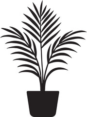 vector illustration of a areca palm plant