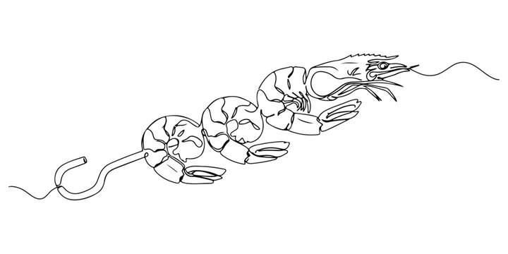 Continuous one line of grilled shrimp skewers, representing seafood appetizer and elegance, hand drawn vector illustration.