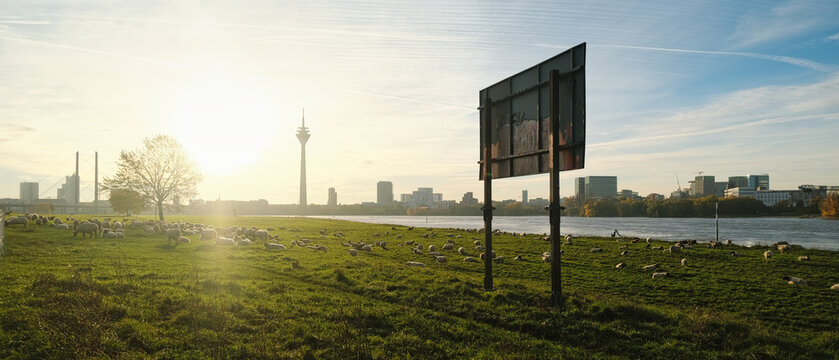 Morgenstimmung - Sonnenaufgang am Rheinufer in D&uuml;sseldorf