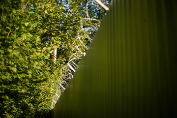 Barbed wire fence. Solid fence. Industrial area.