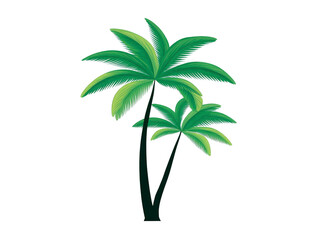 Obraz premium Tropical palm tree with lush green leaves and tall slender trunk, evoking relaxing beach or island atmosphere, perfect for summer, vacation, or travel themes