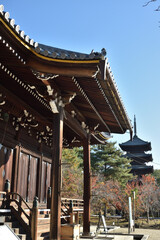 Fototapeta premium 仁和寺 観音堂と五重塔(京都市右京区)