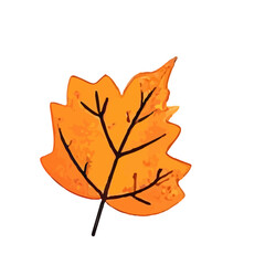 Obraz premium trend element stock for autumn leaf and pumpkin 