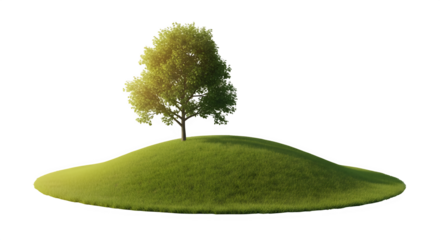 A single tree on a grassy hill isolated on transparent background, illuminated by the sun