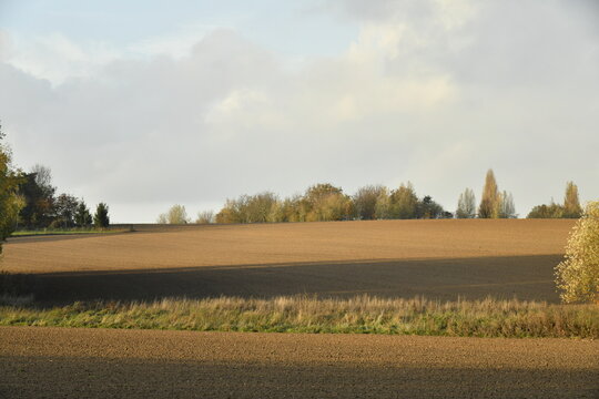 Paysage rural en automne en fin de journ&eacute;e sous un ciel gris &agrave; &Eacute;caussinnes d'Enghien (Soignies)