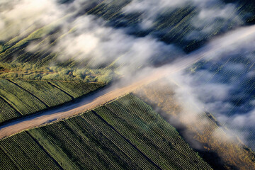 Sea-Fog Inversion Lifting From Coastal Potato Plots, Turbine Shadows And Winter Sun Break, Oblique Aerial With Hedgerow Tracks