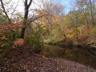 Fall landscape with colorful trees and river