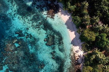 Aerial top view of tropical beach and coral reef with turquoise water and palm trees, summer vacation scene.