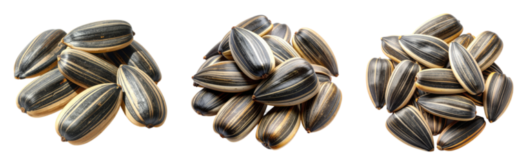 Set of sunflower seeds in piles
