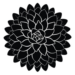 Intricate black dahlia flower silhouette with many layered petals isolated on white background