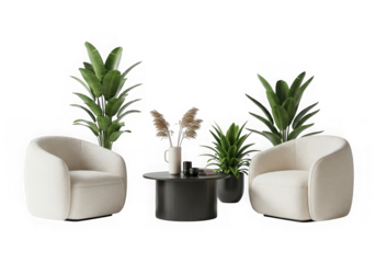 A modern living room setup two fluffy white armchairs, a black coffee table plants dried flowers, isolated on transparent background