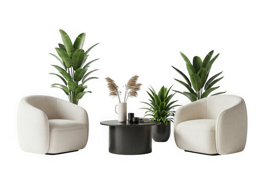 A modern living room setup two fluffy white armchairs, a black coffee table plants dried flowers, isolated on transparent background