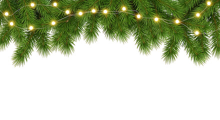 Christmas Tree Branches With String Lights On Black