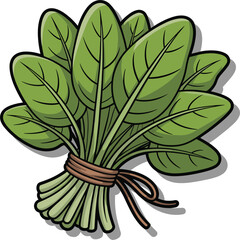 Bunch of fresh spinach leaves tied with a string greens vegetables