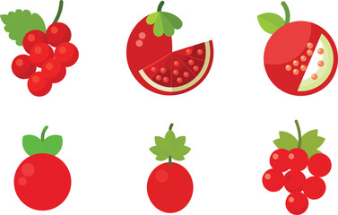raspberry full and half cut different cutting vector illustration set  