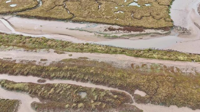 Salt marshes at Burnham Overy Staithe
