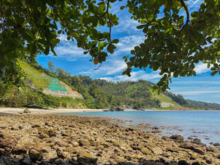 Discover a serene tropical beach framed by lush greenery and a vibrant blue sky vista