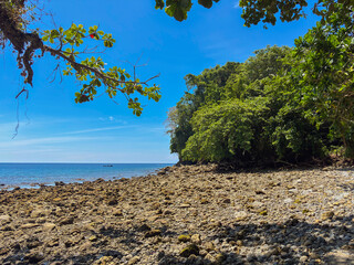 Discover a secluded tropical beach paradise with lush greenery and rocky shorelines