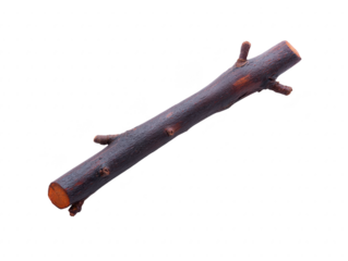 Tree branch brown wood isolated transparency background rough texture natural material rustic outdoor forest single stick simple nature organic timber cut log raw minimal countryside woodland