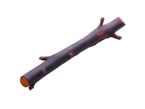 Tree branch brown wood isolated transparency background rough texture natural material rustic outdoor forest single stick simple nature organic timber cut log raw minimal countryside woodland