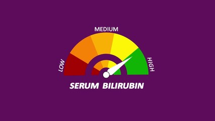 Serum bilirubin level meter moving from high level to normal level animation.ideal for concepts related to liver function, jaundice treatment.