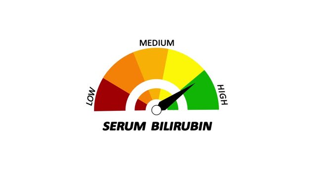 Serum bilirubin level meter moving from high level to normal level animation.ideal for concepts related to liver function, jaundice treatment.