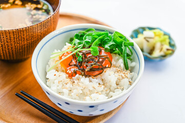 ご飯にのせた卵黄の塩昆布漬け
