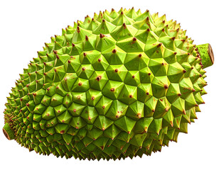 Firefly_Whole Fresh Breadfruit with Spiky Green Skin, Realistic Close-Up, Isolated on Transparent background