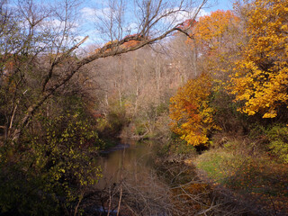Fall landscape with colorful trees and river