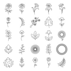 Minimal Botanical Line Art Set, Elegant Floral and Leaf Vector Collection, Hand drawn flower set