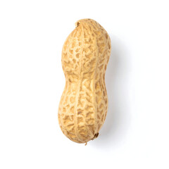 Single Wrinkled Dried Grape (Raisin) Isolated on White Background