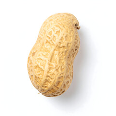 Clean Overhead Studio Shot of a Single Raw Peanut Pod on White