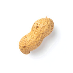 Overhead Studio Shot of a Single Raw Peanut in Shell on White