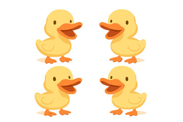 Four cute yellow ducklings standing isolated on a clean white background