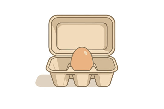 Single brown egg in open cardboard packaging