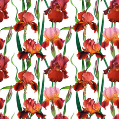 Watercolor Red and Pink Iris Floral Seamless Pattern