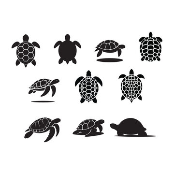 turtles and tortoisses silhouettes