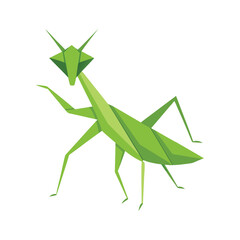 Green origami praying mantis on white paper insect