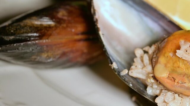 Close-up of Stuffed Mussels on a Plate. Rice Outside the Shell