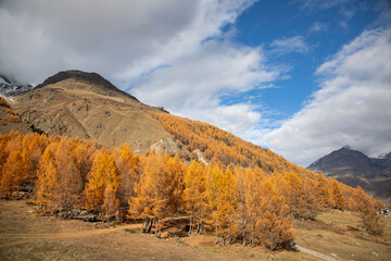 Autumn hike in Saas-Fee, Switzerland