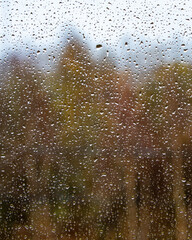 Raindrops on a window pane with blurred autumn foliage background