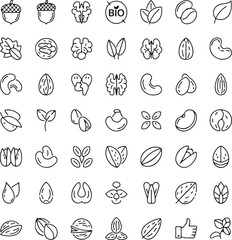 Organic Nuts, Seeds, and Bio Symbol Collection