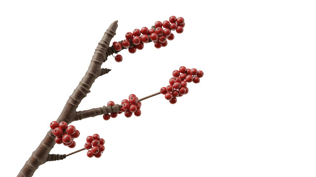 Festive winterberry branch with vibrant red berries for holiday designs