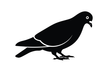 A pigeon silhouette vector art